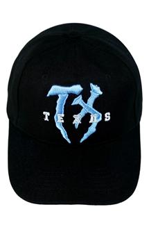 Texas Embroidered Cap-H1500-BLUE